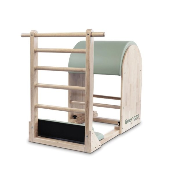 ladder-barrel-ptx-1900g-liveness-3