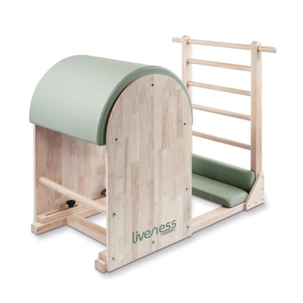 ladder-barrel-ptx-1900g-liveness