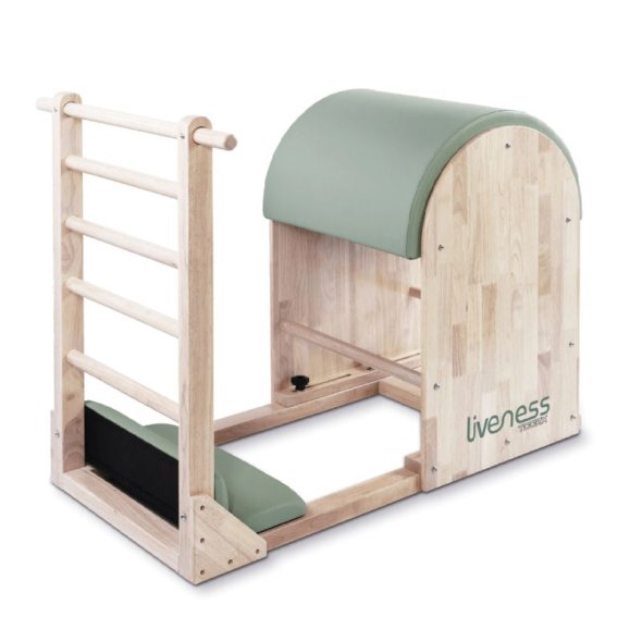 ladder-barrel-ptx-1900g-liveness-2