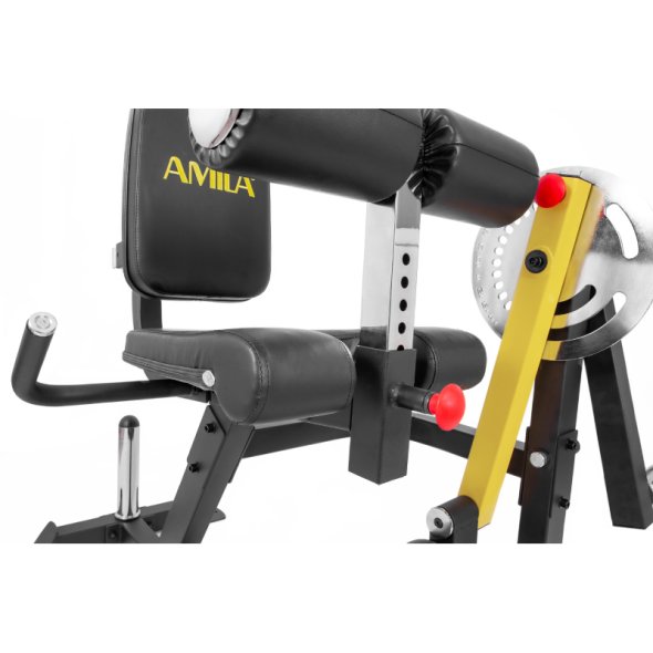 michanima-leg-curl-leg-extension-amila-ax1030 (2)