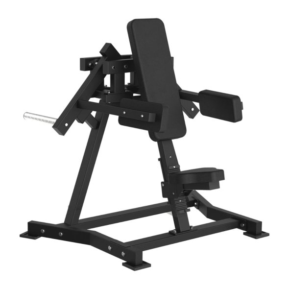 LATERAL RAISE (FWX-6500) Toorx