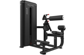 06-433-328-fd-08-abd-back-ext-bodytone-professional-gym-1