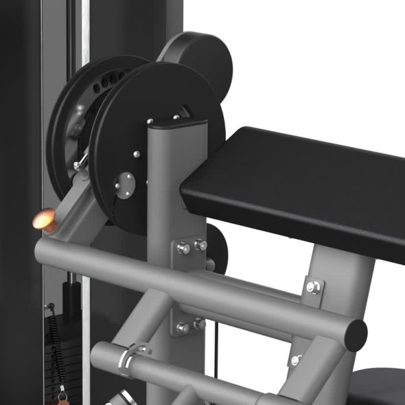 BICEPS / TRICEPS (PLX-7700) Toorx