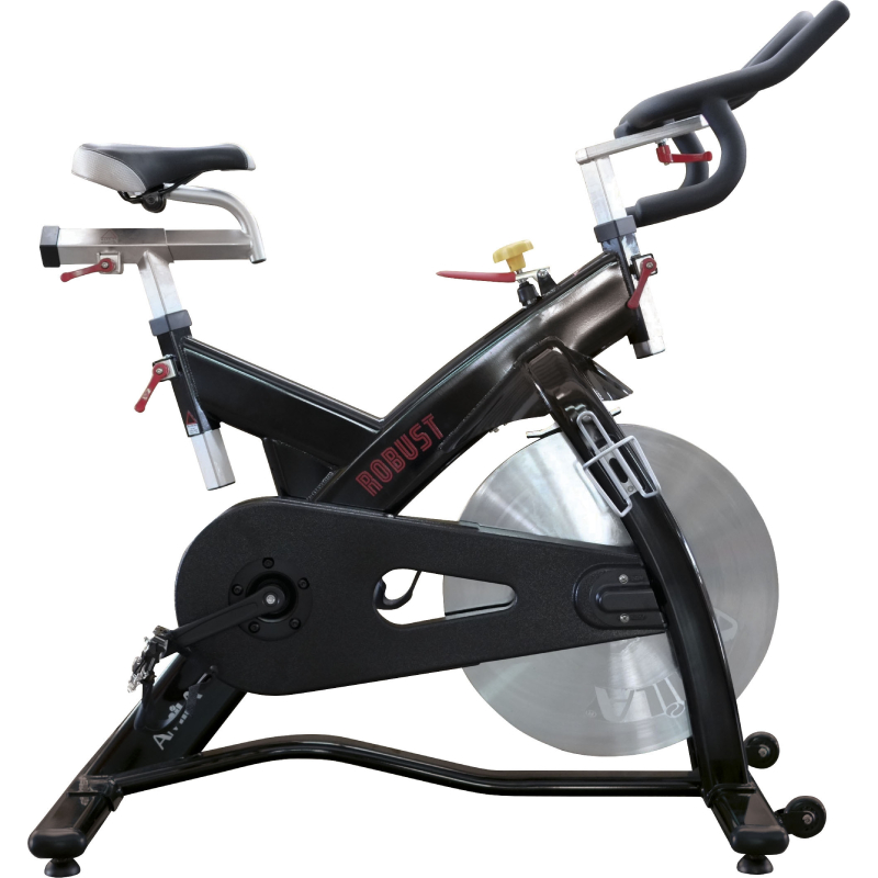 Ποδήλατο Spin Bike Robust 43352 Amila 