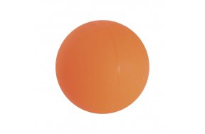 Μπαλάκι Hockey Παιδικό 65mm Amila 48539