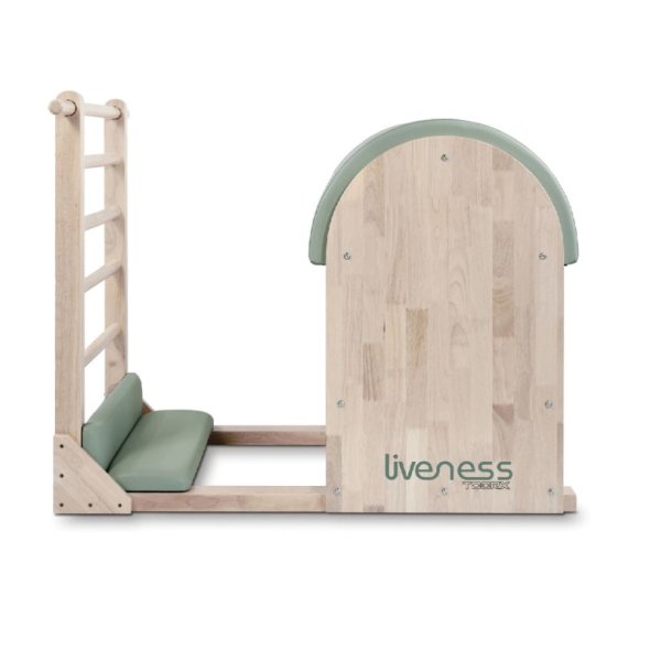 ladder-barrel-ptx-1900g-liveness-1