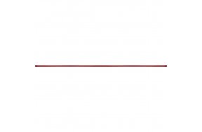 κοντάρι άλμα επί κοντό το κοντάρι