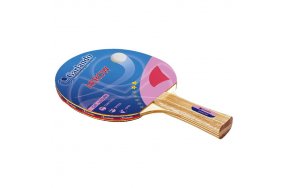 Ρακέτα Ping Pong Arrow Garlando 2stars 05-432-003