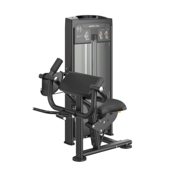 BICEPS CURL (PLX-8600) Toorx