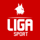 liga sport logo icon