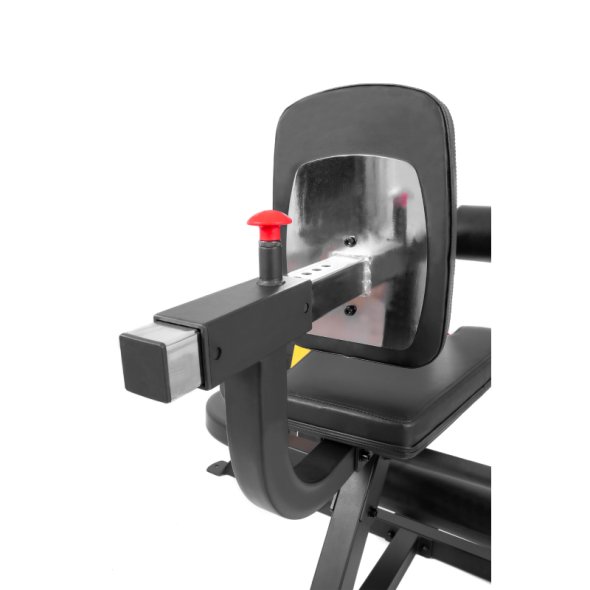 michanima-leg-curl-leg-extension-amila-ax1030 (5)