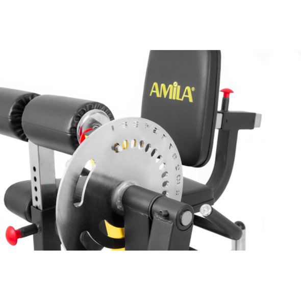 michanima-leg-curl-leg-extension-amila-ax1030 (3)