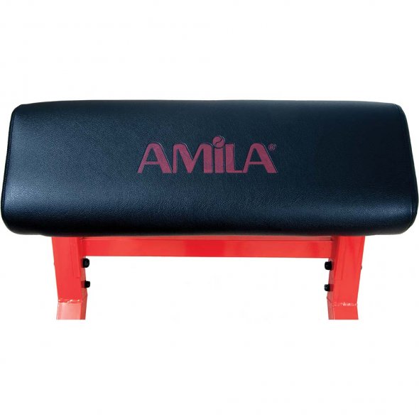 πάγκος γυμναστικής amila μαξιλάρι και brand