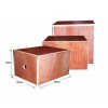 plyo box mds