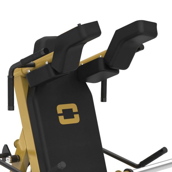 V SQUAT (FWX-10000) Toorx